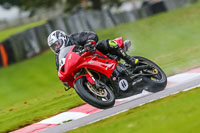 PJ-Motorsport-Photography-2020;anglesey;brands-hatch;cadwell-park;croft;donington-park;enduro-digital-images;event-digital-images;eventdigitalimages;mallory;no-limits;oulton-park;peter-wileman-photography;racing-digital-images;silverstone;snetterton;trackday-digital-images;trackday-photos;vmcc-banbury-run;welsh-2-day-enduro